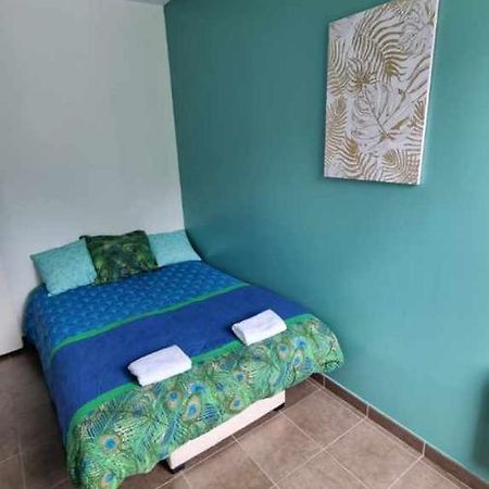 Castelema - Appartement Proche Du Sanctuaire ลูร์ด ภายนอก รูปภาพ