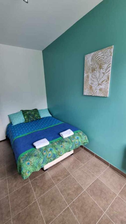 Castelema - Appartement Proche Du Sanctuaire ลูร์ด ภายนอก รูปภาพ